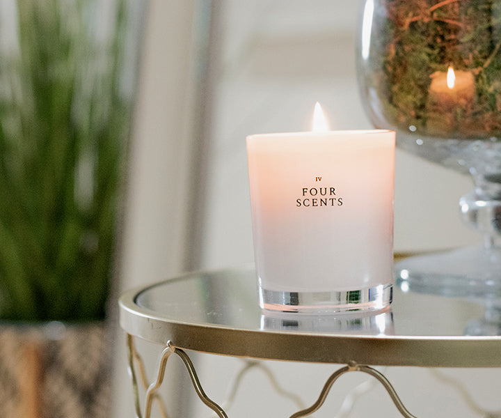 Four Scents Candle With Plants in Background