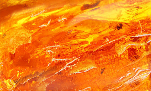 Scents for Autumn - Amber