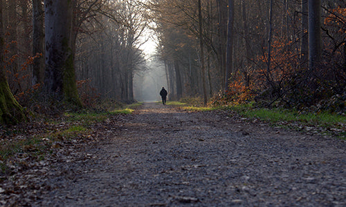 Autumn Wellbeing