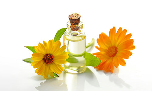 Scents for Summer - Floral