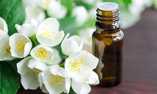Jasmine Essential Oil