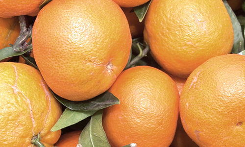 Mandarin Essential Oil