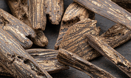 Oudh Essential Oil