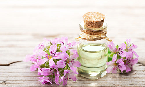 Geranium Essential Oil