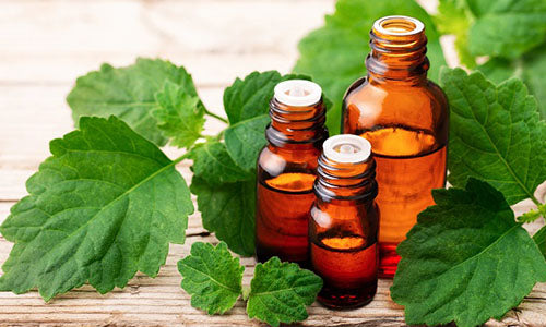 Patchouli Essential Oil