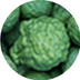 Bergamot