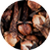 Clove