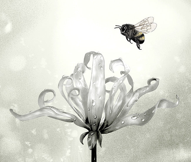 Botanical Illustration of Ylang Ylang Flower with Bumblebee