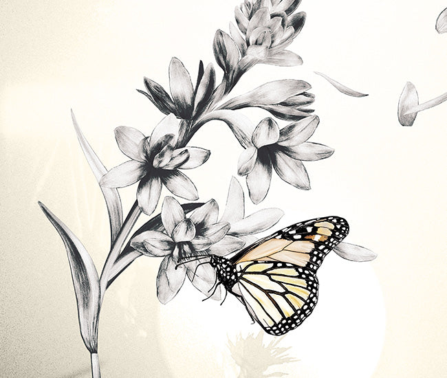 Botanical Illustration of Tuberose Flower With Butterfly
